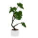 植木・観葉植物のイメージ