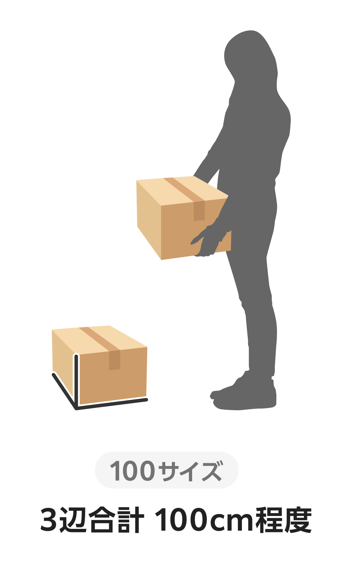 イラスト：100サイズ ３辺合計100cm程度