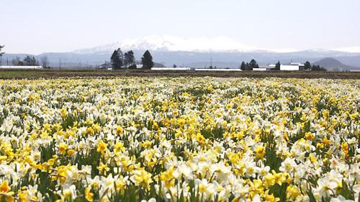 比布町プロモーション写真