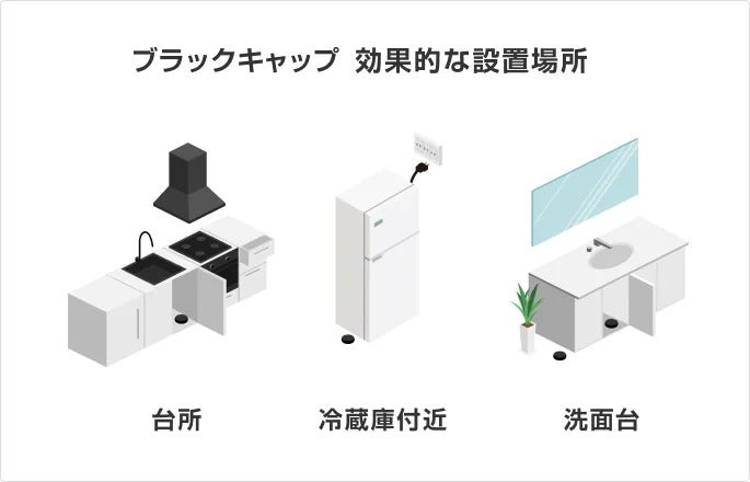 イラスト：ブラックキャップの効果的な設置場所について