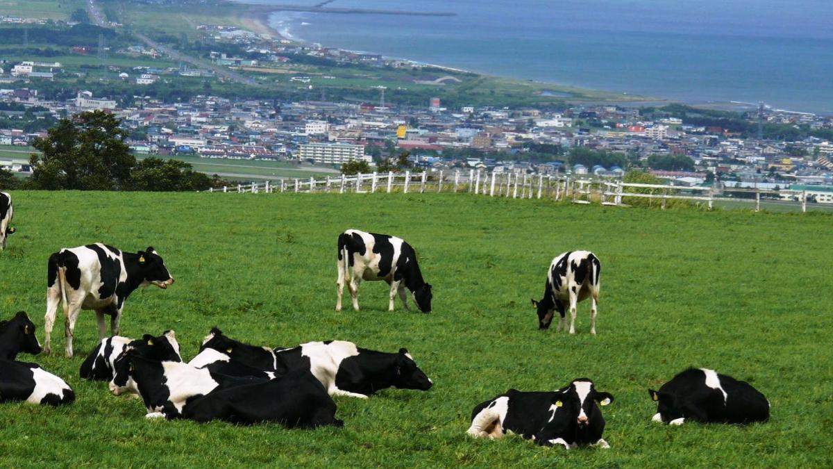 八雲町のロケーション写真