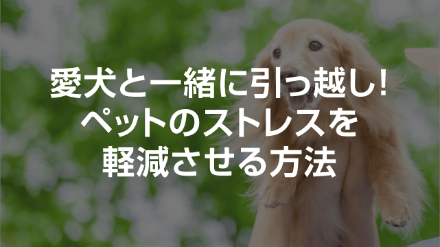 犬と引っ越しする場合のストレス軽減方法や新居への慣れさせ方とは？