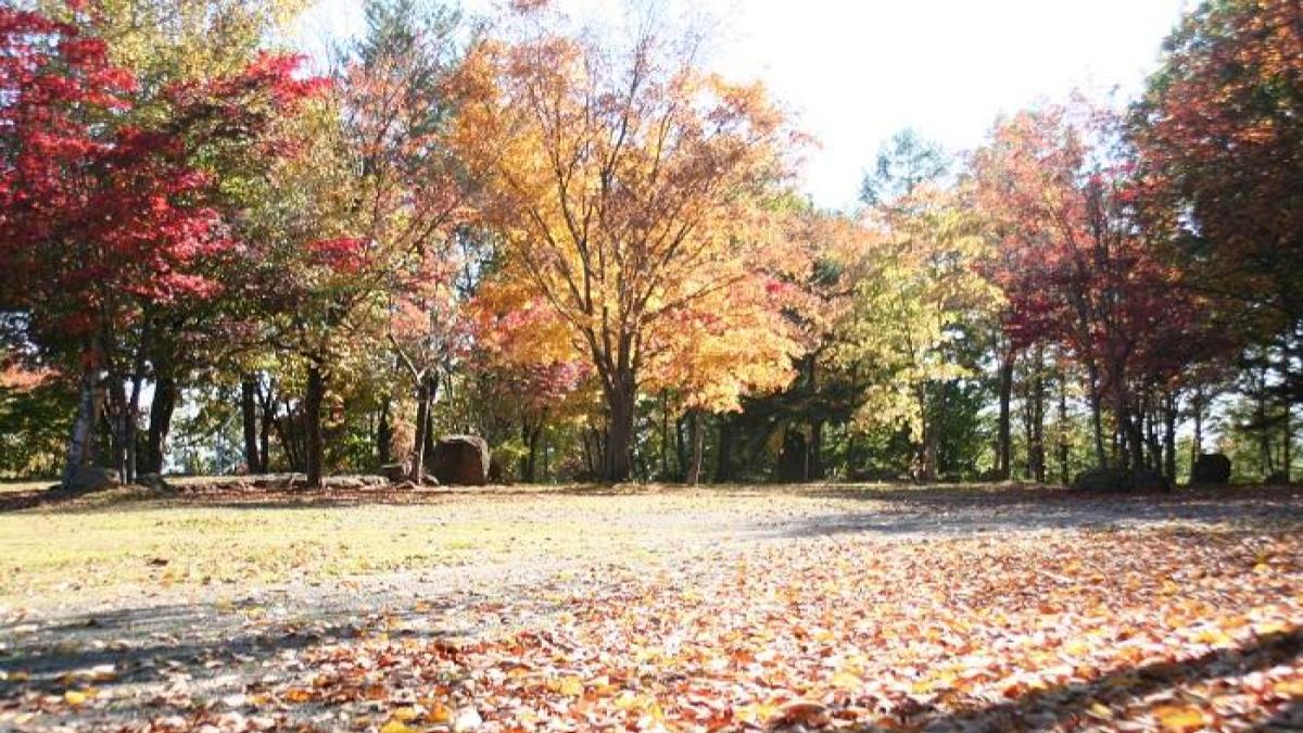 中富良野町プロモーション写真