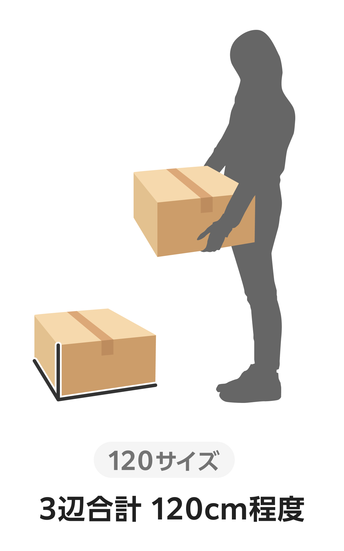 イラスト：120サイズ ３辺合計120cm程度