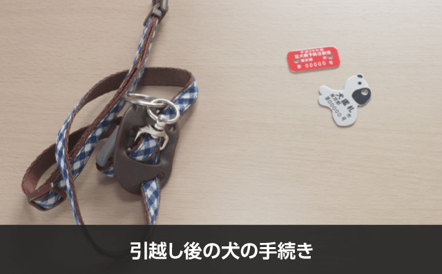 写真：引越し後の犬の手続き。犬のリードが写っている写真。