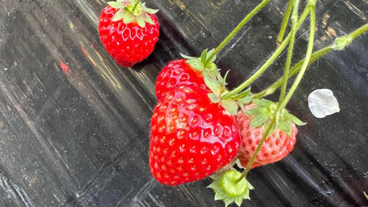 東庄町の基本情報