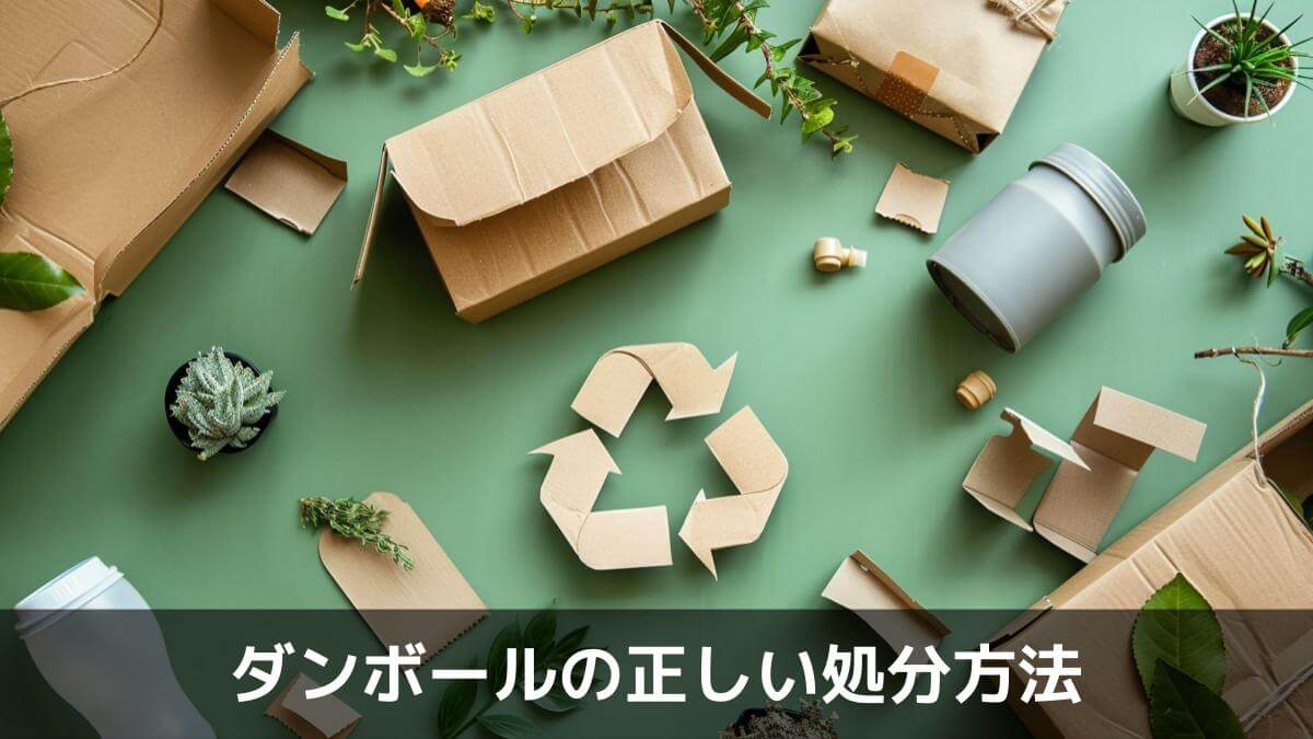 写真:ダンボールの正しい処分方法。植物とリサイクルマークに切り抜かれたダンボールが置いてある写真。