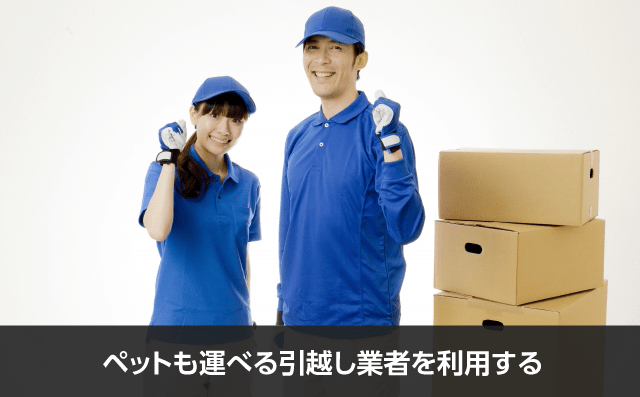 写真：ペットも運べる引越し業者を利用する。2人の業者が写っている写真。