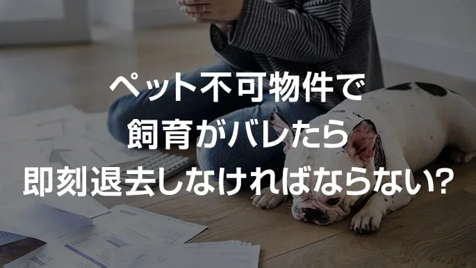 ペット不可物件で飼育がバレたら即刻退去しなければならない？