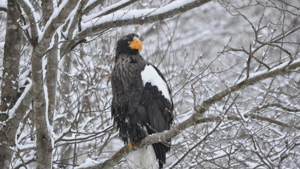 八雲町のロケーション写真