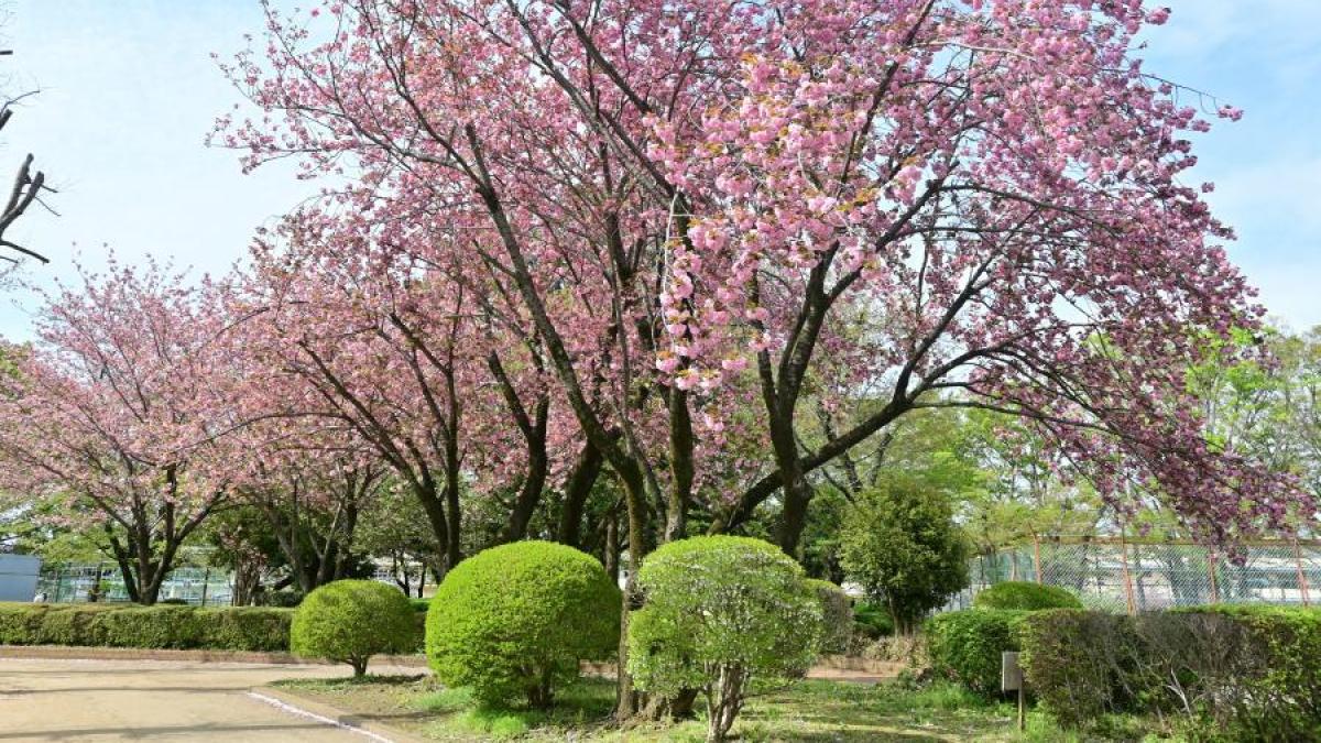 四街道市ロケーション画像