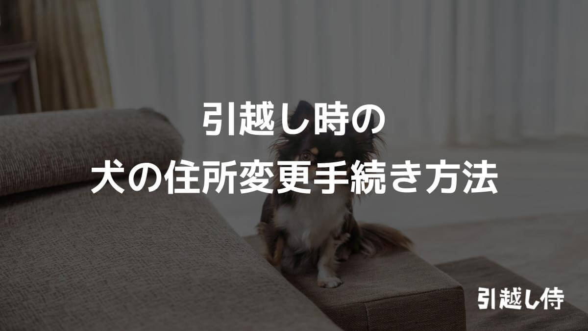 引越し時の犬の住所変更手続き方法