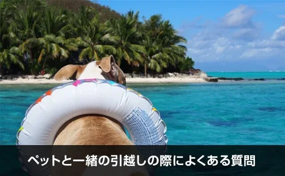 写真：ペットと一緒の引越しの際によくある質問。海の近くで犬が浮き輪をつけている写真。