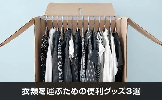 写真：衣類を運ぶための便利グッズ3選。ハンガーボックスに入った衣類が写っている写真。