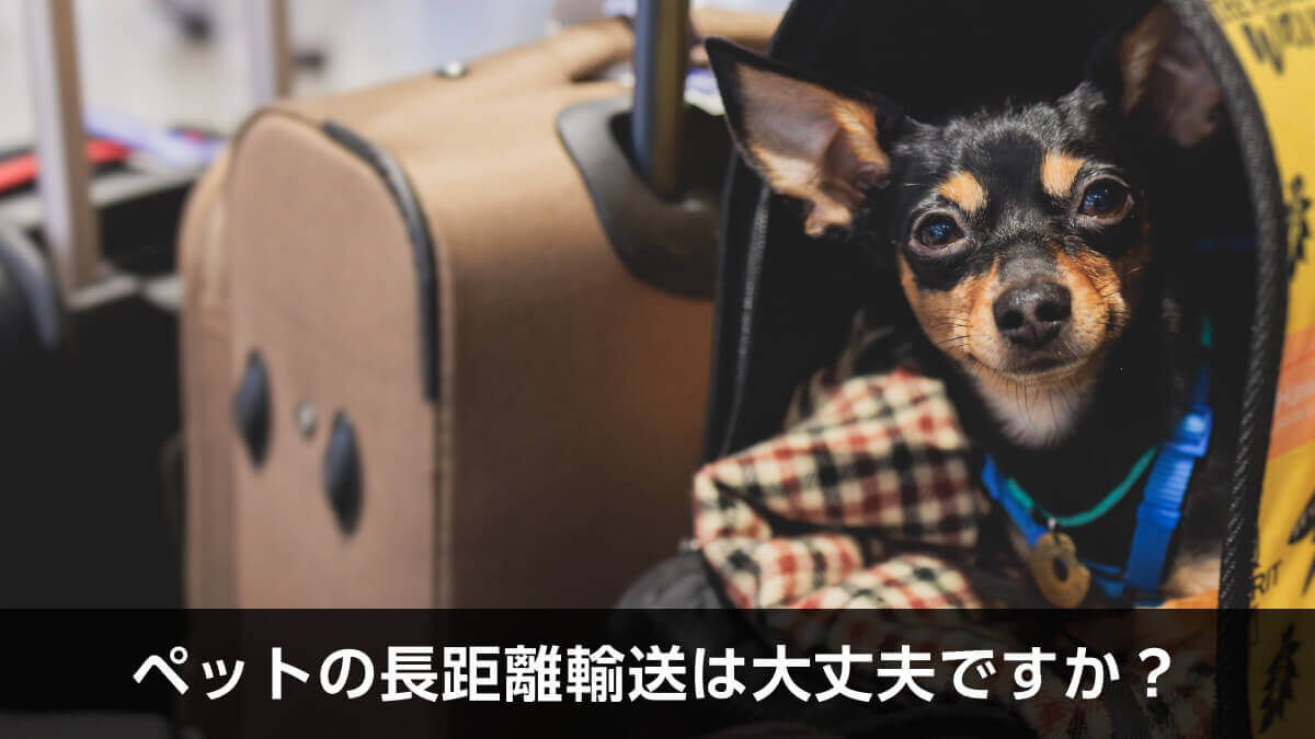 ペットの長距離輸送は大丈夫ですか？