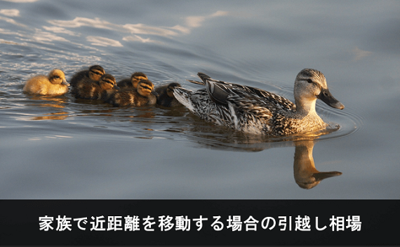 写真:家族で近距離を移動する場合の引越し相場。鴨の家族の写真。