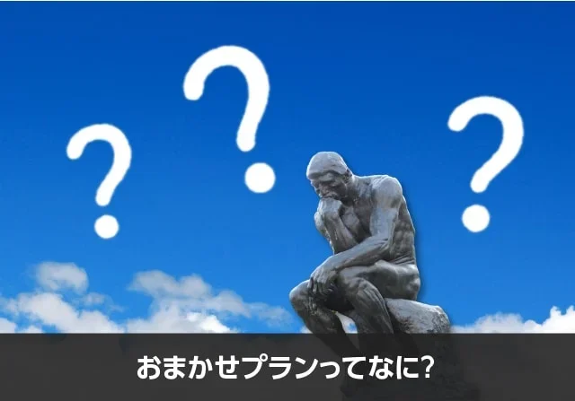 写真：おまかせプランってなに？。空と考える銅像の写真。