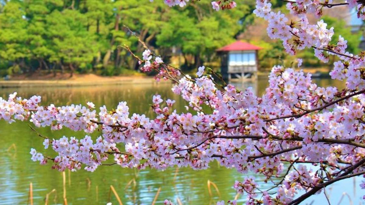 聖籠町のイメージ写真