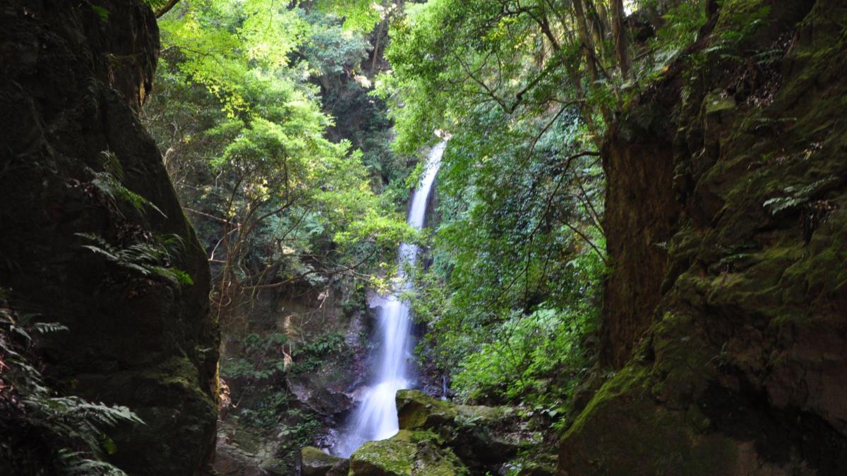 沼津市イメージ画像