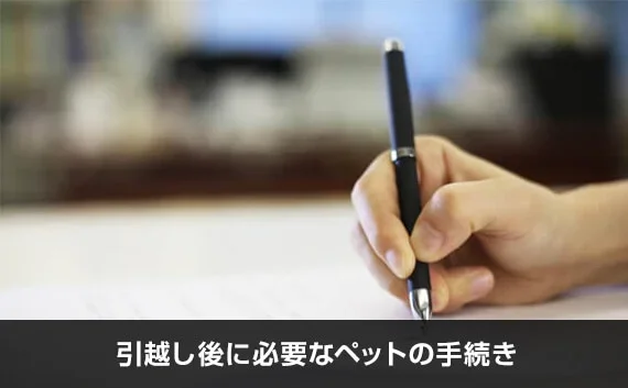 写真：引越し後に必要なペットの手続き。ペンを持っている写真。