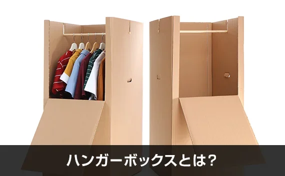 写真：ハンガーボックスとは？。服ありとなしのハンガーボックスが2個並んでいる写真。