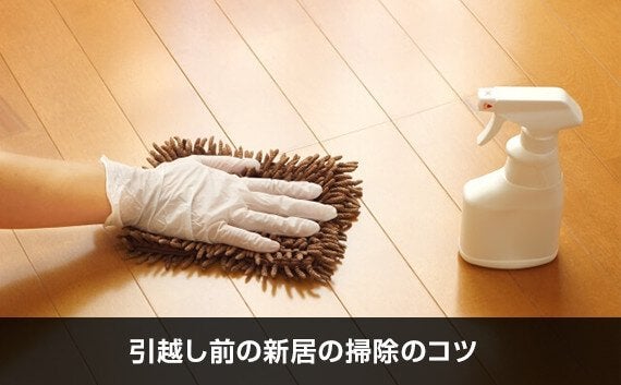 フローリングの床をモップで掃除している手とスプレー容器