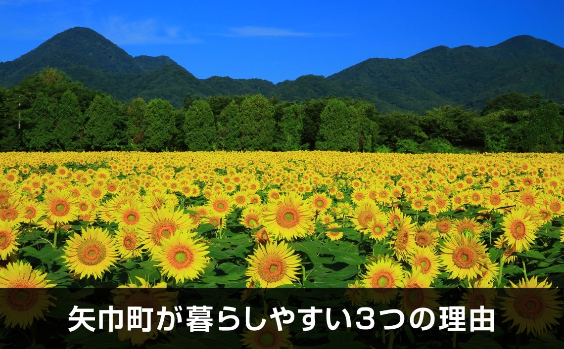 写真：矢巾町が暮らしやすい3つの理由。ひまわり畑の写真。